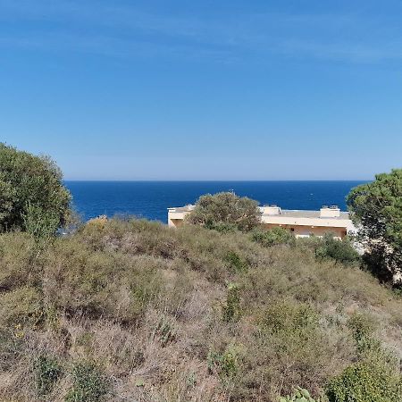 Appartement Banyuls-sur-Mer, 3 pièces, 6 personnes - FR-1-309-130 Extérieur photo