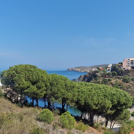 Appartement Banyuls-sur-Mer, 3 pièces, 6 personnes - FR-1-309-130 Extérieur photo