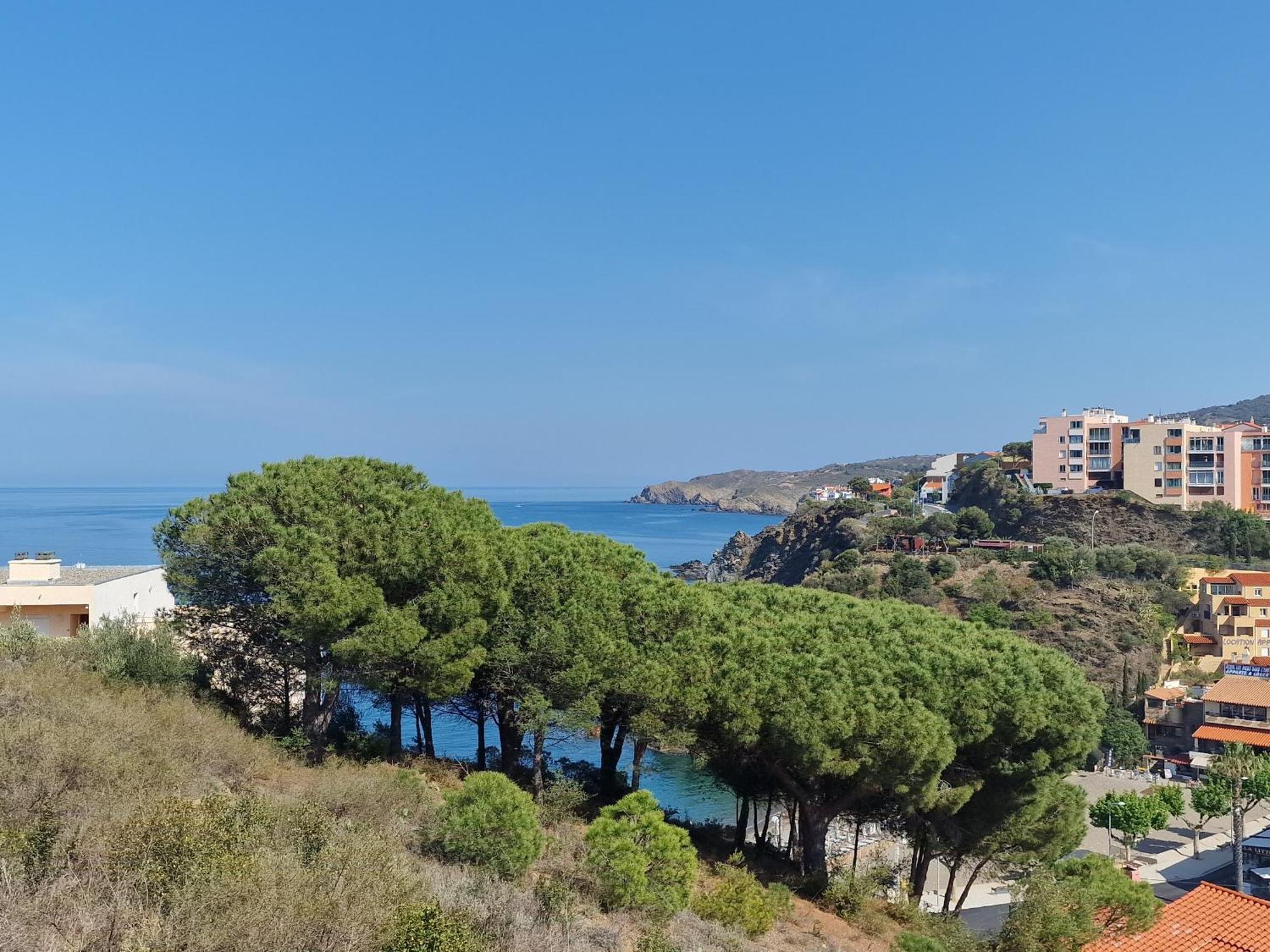 Appartement Banyuls-sur-Mer, 3 pièces, 6 personnes - FR-1-309-130 Extérieur photo